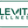 Elevita Wellness logo