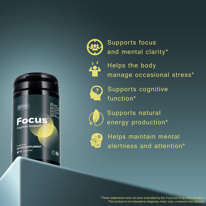 Focus – Cognitive Support for Mental Clarity | 120 Capsules