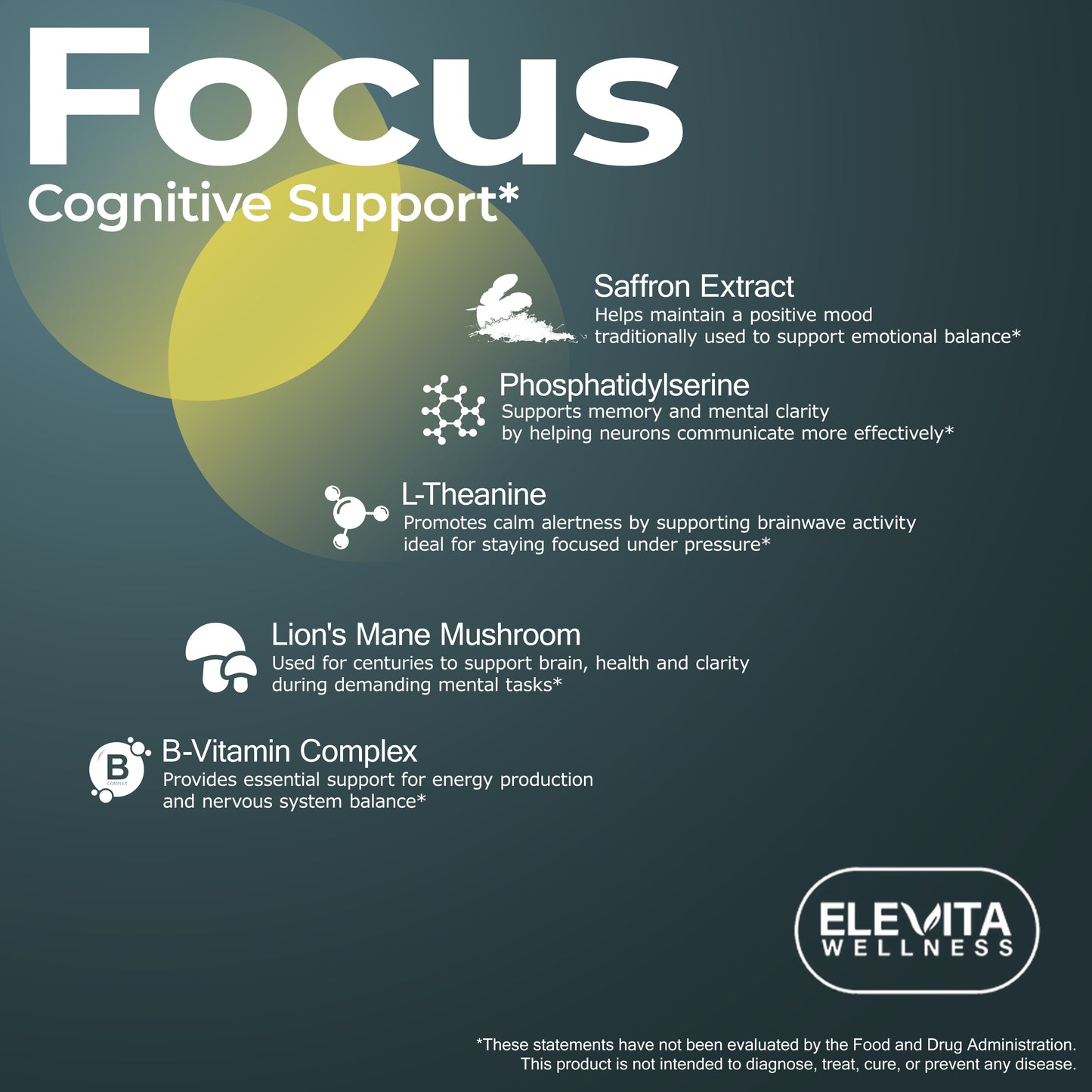 Focus – Cognitive Support for Mental Clarity | 120 Capsules